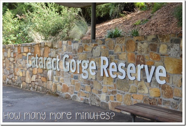 How Many More Minutes? ~ Longord, TAS: Cataract Gorge Reserve