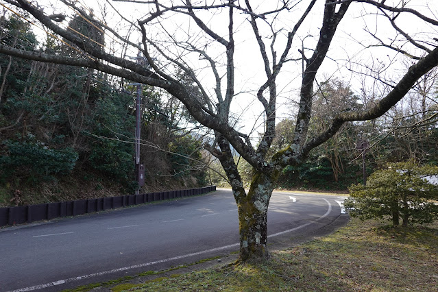 鳥取県西伯郡大山町妻木 むきばんだ史跡公園