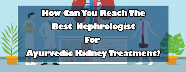 How Can You Reach The Best Nephrologist For Ayurvedic Kidney Treatment?