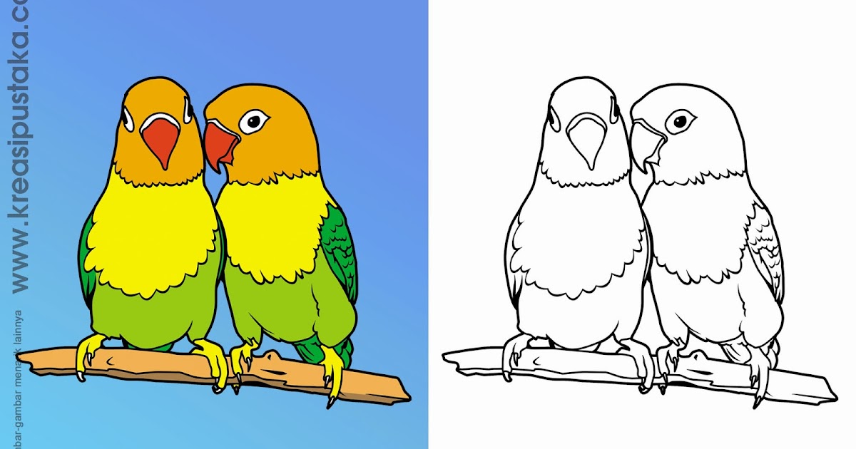  Mewarnai Gambar Burung Mewarnai Gambar Burung