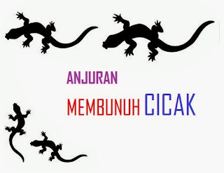 cicak