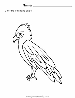 Philippine eagle worksheet