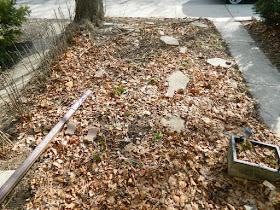 Davisville Mount Pleasant East Spring Front Garden Cleanup Before by Paul Jung Gardening Services a Toronto Gardening Company