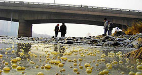 Sungai Kuning - China