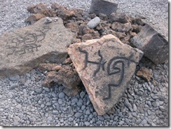 lanai 2011 056