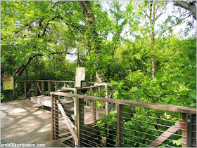 Fort Worth Botanic Garden: Native Texas Boardwalk