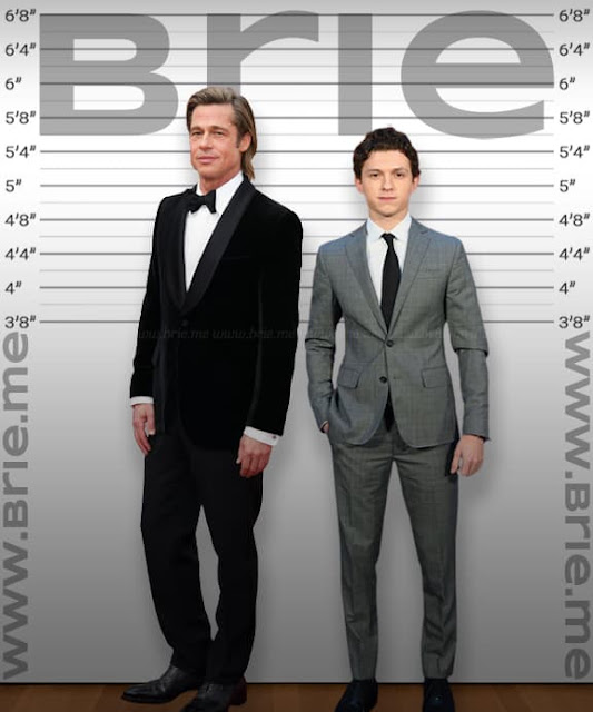 Brad Pitt height comparison with Tom Holland