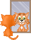Gatinho (120)