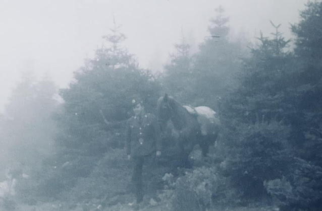 El Guarda Forestal del ICONA José Pino Rivera de servicio en el pinsapar de Los Lajares en el monte de Yunquera. Fuente: Archivo personal de José Pino Rivera.