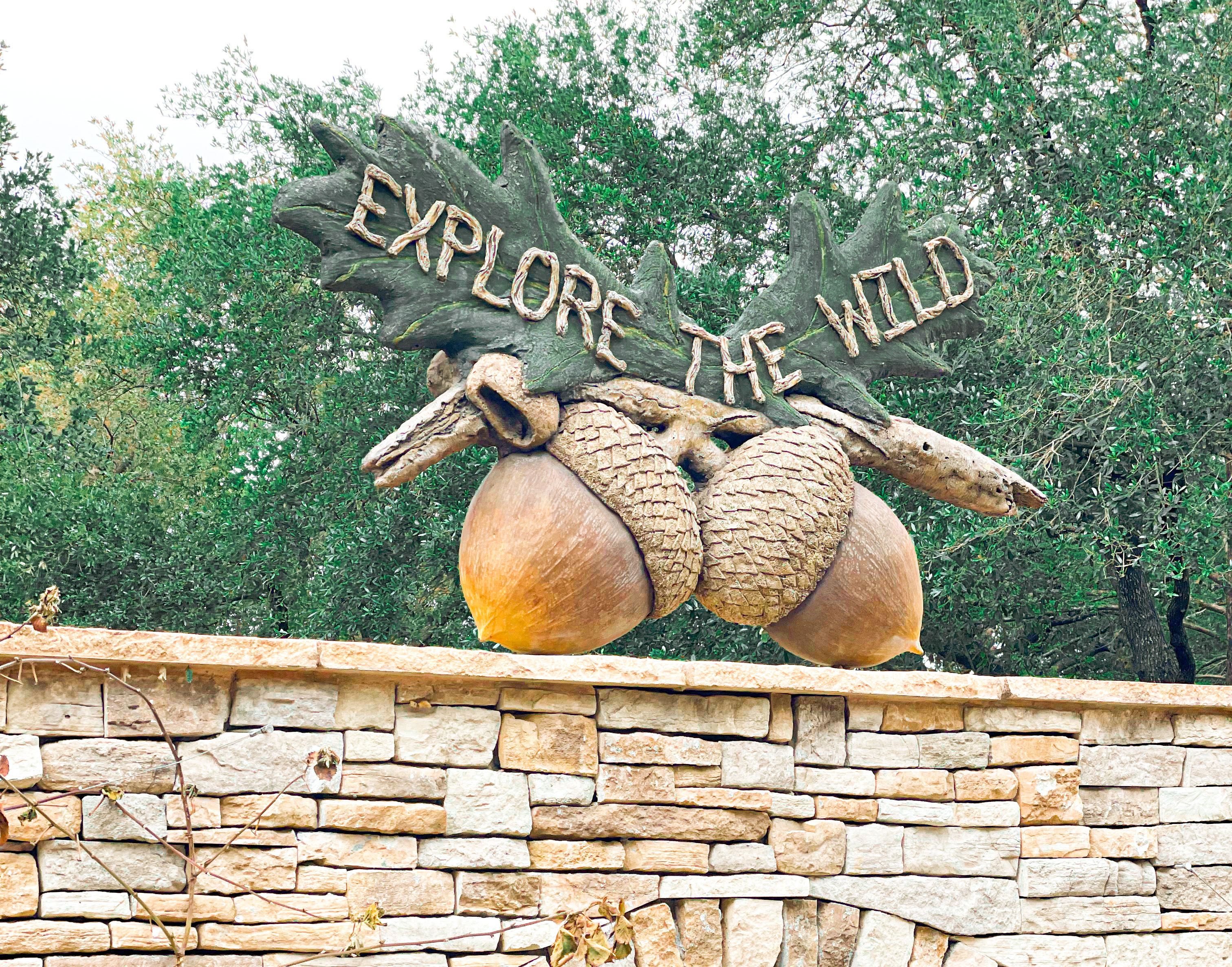 Explore the Wild at The Houston Zoo