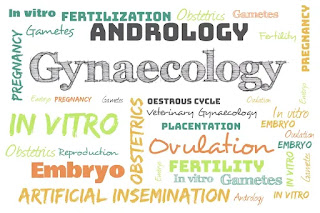 Veterinary Gynaecology and Obstetrics