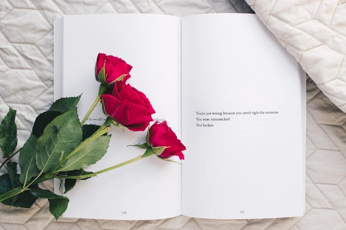 Libros para Sant Jordi 2023 : consejos para regalar