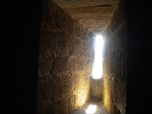 DSCN5474
