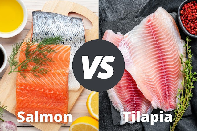 Salmon vs Tilapia