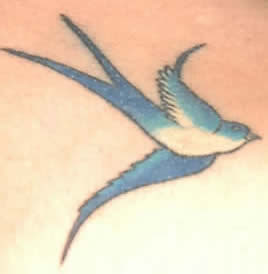 [最も好ましい] outline small blue jay tattoo 211207