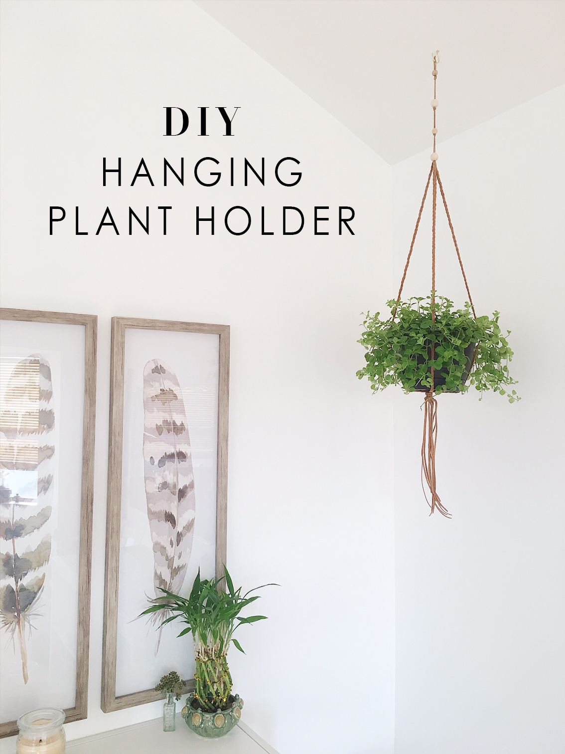 Download DIY | Hanging Plant Holder - FWS