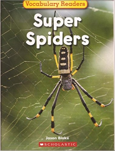 12 Spectacular Spider Books For Kids With Teaching Ideas