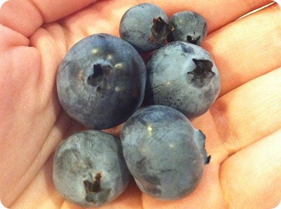 blueberries