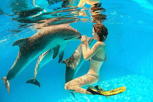 Thrilling adventure: Swim with dolphins and make unforgettable memories!