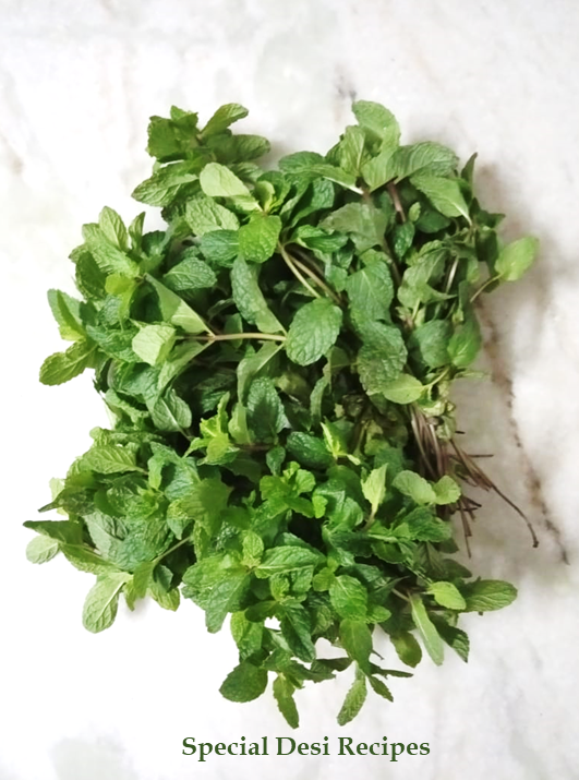 Mint leaves