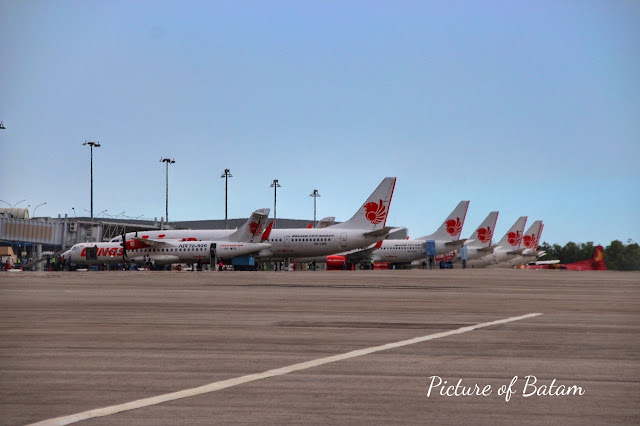 Pesawat Lion Air Berjajar di Bandara Hang Nadim Batam