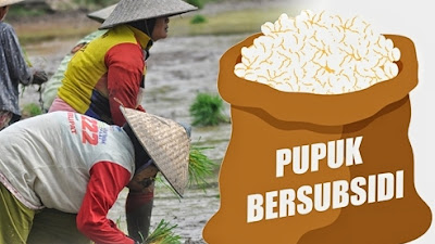 Petani Wilayah Kibin Kabupaten Serang Keluhkan Kelangkaan Pupuk Subsidi 