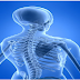 NEW RESEARCHES IN  JOINT AND PAIN MANAGEMANENT