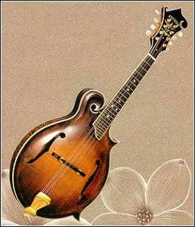 mandolin