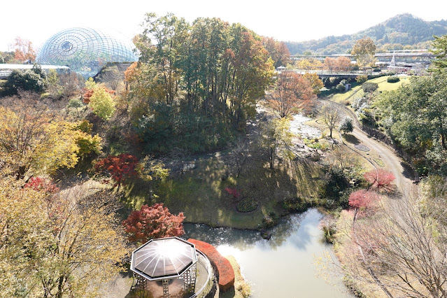 鳥取県西伯郡南部町鶴田 とっとり花回廊 花の丘