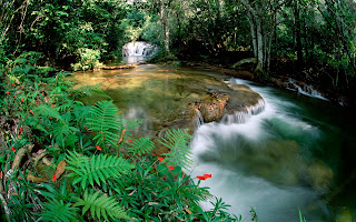 Fonte de Brasil Nature Wallpaper