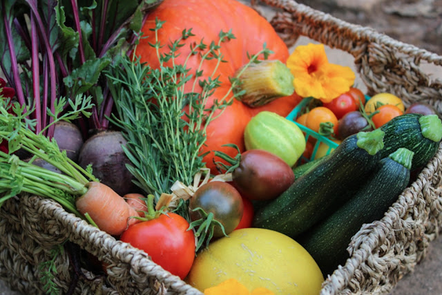 Kitchen Garden Harvest ! Garden Bible