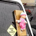 Baby on board