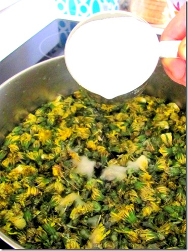 dandelions