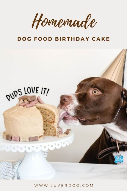 Homemade Dog Food Birthday Cake