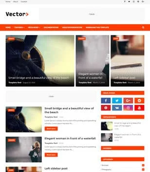 Vector Blogger Template