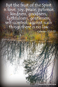 Fruit of the Spirit http://bec4-beyondthepicketfence.blogspot.com/2013/11/sunday-verses.html