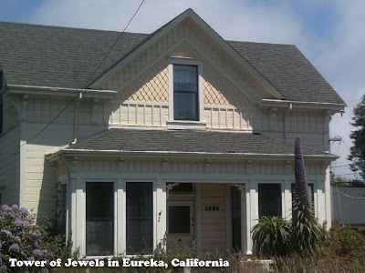 Tower of Jewels Plant in Eureka, CA - Echium Wildpretti - gvan42