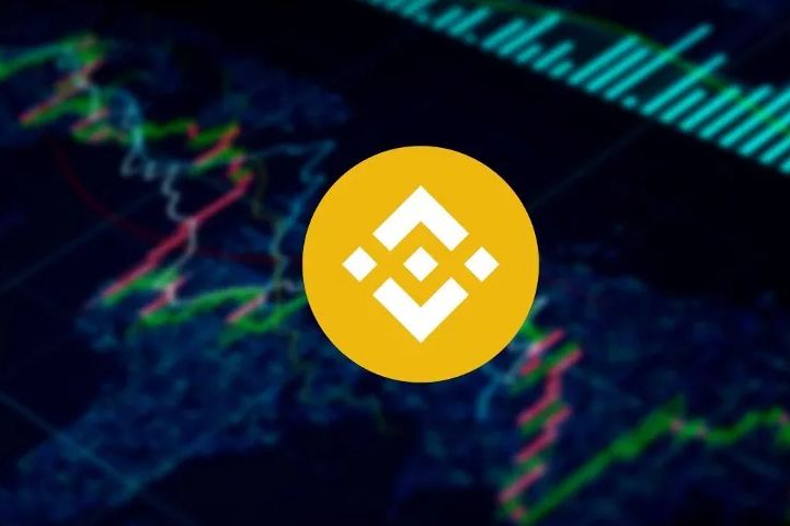 Binance Coin (BNB): A Moeda Versátil que Impulsiona o Ecossistema Binance