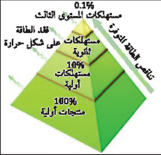 هرم الطاقة