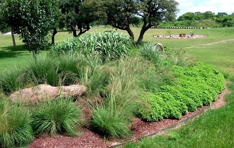 Landscape Berm Front Yard