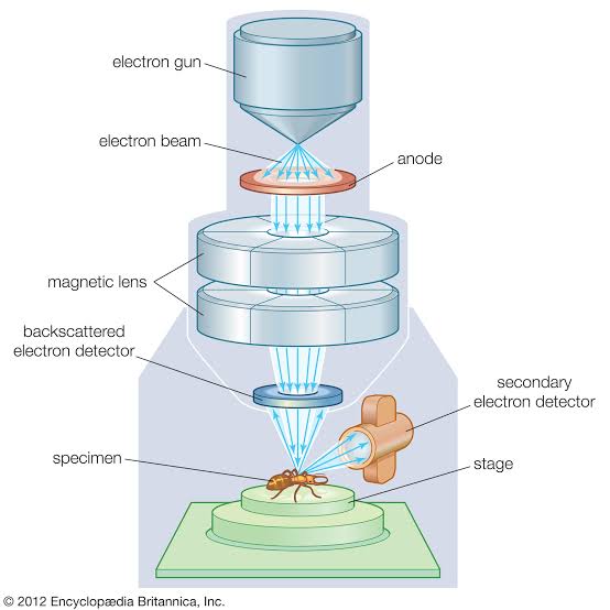 Quantum scale integration 