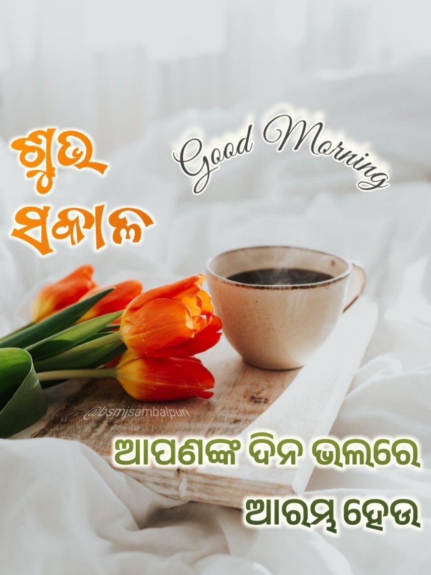 Good Morning Odia Status Images - Shayari Download