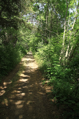 randonnée sous bois ASPRES