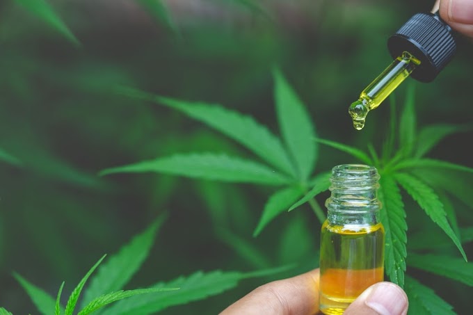 Does CBD Really Work - Read Expert Review