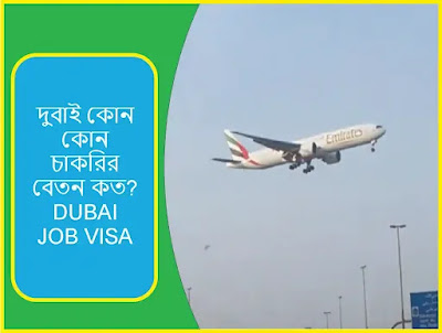 দুবাই কোন কোন চাকরির বেতন কত? DUBAI JOB VISA