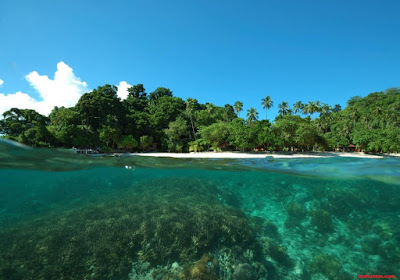 keindahan karang di pulau komodo