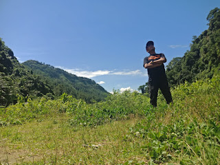 hutan