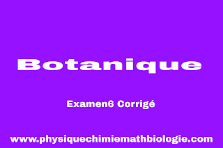 Examen6 corrigé de Botanique PDF (L2-S2-SNV)