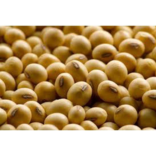 Soybeans (Soy Beans) 4 lbs (four pounds) USDA Certified Organic, Non-GMO, Bulk