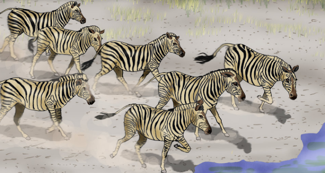 Counting Animals